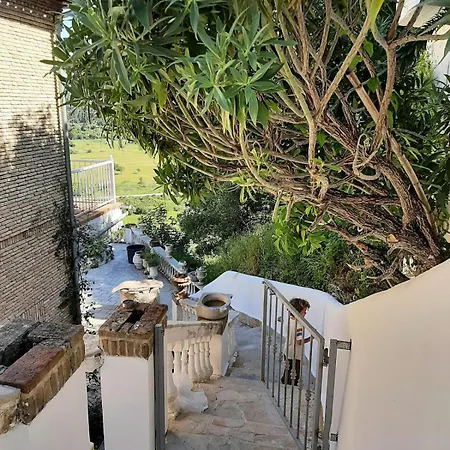 Cato Vátos